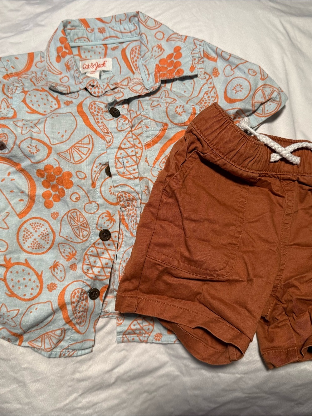 Cat & Jack Light Blue Shirt with Orange Fruit Print & Rust Orange Shorts Set